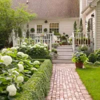 خدمات گل کاری،باغبانی و..