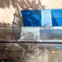 فروش و معاوضه آکواریوم