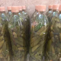 خیار شور بطری