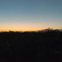 پیکان وانت سفید فروشی