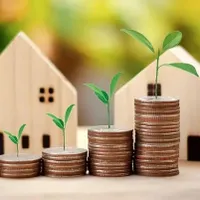 نیازمند سرمایه ۸۰ میلیون