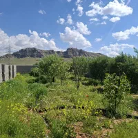 نگهبان ۲۴ساعته