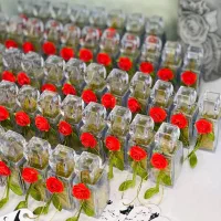گیفت عروسی و جشن|خدمات پذیرایی، مراسم|ری, علایین|دیوار