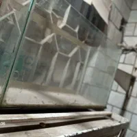 اکواریوم|ماهی|اهواز, کمپلو جنوبی|دیوار