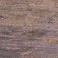 زمین مسکونی