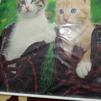 پرده کرکره ایی