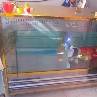 فریزر بستنی یخچال ویترینی، میز کار ویترینی|فروشگاه و مغازه|بیرجند, |دیوار