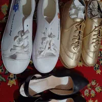 کفش نونوجفتی ۲۵۰