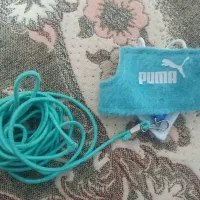 لباس و جلیقه پرواز پرنده