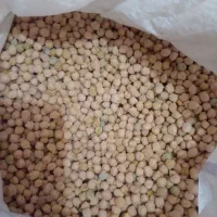 نخود محلی زیر قیمت بازار