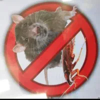 خدمات سم پاشی|خدمات نظافت|گلبهار, شهر جدید گلبهار|دیوار