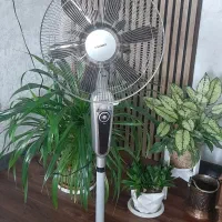 پنکه