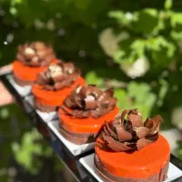 دوره مستردسر|خدمات آموزشی|تبریز, |دیوار