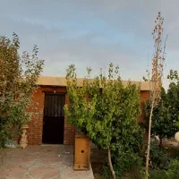 باغچه500متر قدیمی شهریار/دهشاد/میدان نماز/تهران سر|فروش خانه و ویلا|شهریار, دهشاد بالا|دیوار