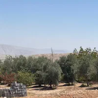 باغچه ۴۰۰۰متری ملوسجان|فروش زمین و ملک کلنگی|شیراز, قصرالدشت|دیوار