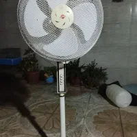 پنکه