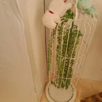 فروش فوری وسایل در حد نو....