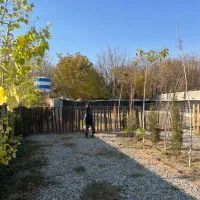 کارگر سرایدار پانسیون سگ