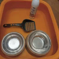 ظرف غذا و ظرف خاک گربه|گربه|کرج, فاز ۱ مهرشهر|دیوار