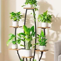 استند گل و گلدان|گل و گیاه طبیعی|شیراز, نصر|دیوار