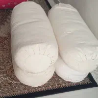 موتکا‌و‌‌تشک‌پشمی