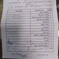 ۴۰۵پژو مدل ۹۲|خودرو سواری و وانت|تهران, دولاب|دیوار