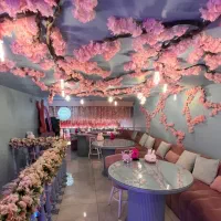 جذب نیرو ساده آقا