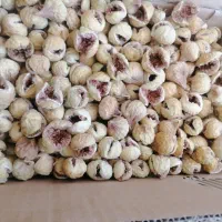 انجیر|خوردنی و آشامیدنی|شیراز, شهرک مدرس|دیوار