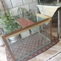 آکواریوم نسبتا بزرگ سالم