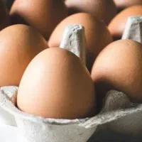 تخم مرغ محلی آستانه