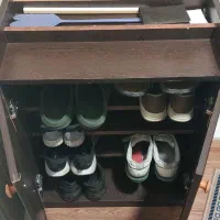 جاکفشی قهوه‌ای رنگ