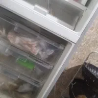 یخچال سینجر|یخچال و فریزر|رشت, قاسمیه|دیوار