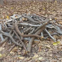 هیزم برای کوهنوردی و کمپینگ|کوهنوردی و کمپینگ|لواسان, |دیوار