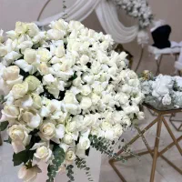 اجاره سالن برای تولد ، نامزدی ، عقد و عروسی|خدمات پذیرایی، مراسم|تهران, کوهک|دیوار