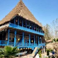 جذب نیروی کار