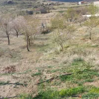 زمین واقع در دره غول روستای نور اباد|فروش زمین و ملک کلنگی|بهار, |دیوار