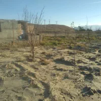 زمین-و-خانه-باغ