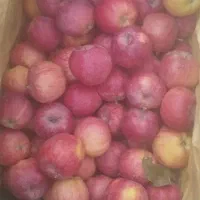 سیب درجه ۲ سردخانه