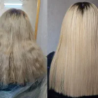 مدل برای پروتئین فقط هزینه مواد