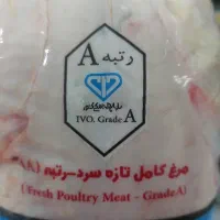 مرغ شمال گریدA|خوردنی و آشامیدنی|قم, نیروگاه|دیوار