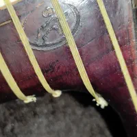 تار مهیار نوروزی