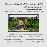 دیسکس اکواریوم انواع ماهی درمان، اصلاح، راه‌اندازی