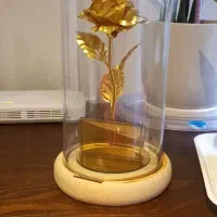 رز جاویدان طلایی 24k gold