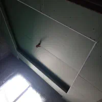 شاگرد کناف بابل بابلسر