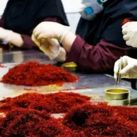 استخدام نیروی کار خانم