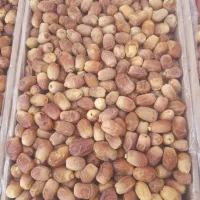 خرمای زاهدی درجه یک فقط تناژ|عمده‌فروشی|فراشبند, |دیوار