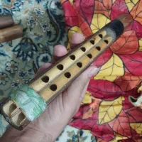 پوست نی انبان و دسته|سازهای بادی|آبادان, |دیوار