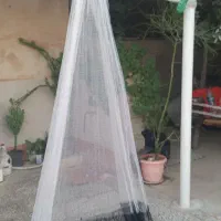 تور پرتابی مخصوص میگو