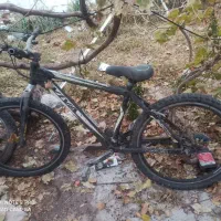 دوچرخه ویوا زیرخاکی|دوچرخه، اسکیت، اسکوتر|رفسنجان, |دیوار