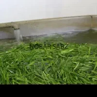 سبزیجات خرد شده